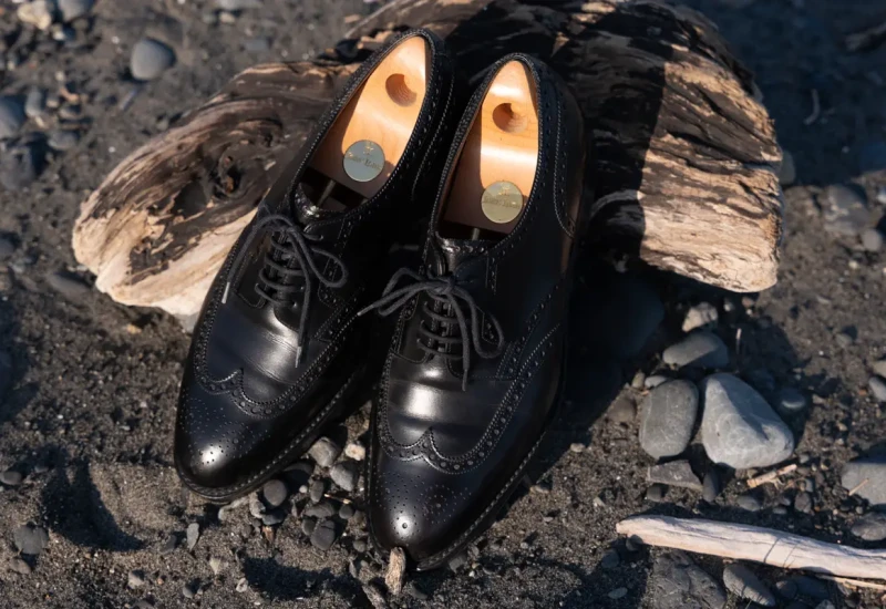 John Lobb Darby 8695 Headline